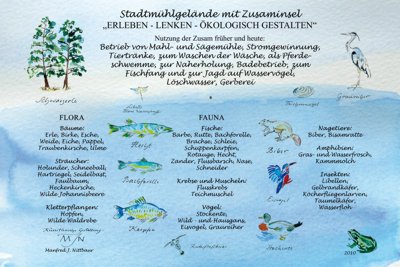 Stadtmühlengeände Wertingen